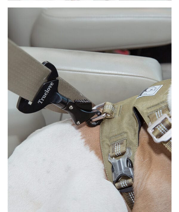 Truelove TLM1993 Pet Car Safety Lock securely attaching a dog’s harness to a seat belt for safe travel in a car.