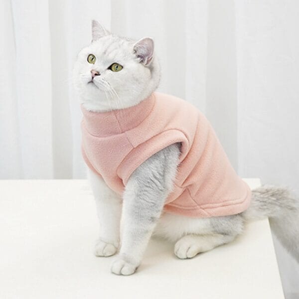 A white and gray cat with green eyes sits on a white surface, wearing the Fleece Dog Sweater | Warm Winter Vest for Dogs & Cats in soft light pink, against a plain white curtain background.