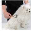 A person brushes the long, fluffy white fur of a small dog, possibly a Pomeranian, using a grooming tool. The dog sits calmly on a white surface. Text on the image reads, "FOR CAT AND DOG USE.