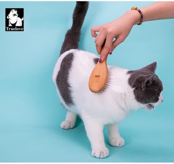 A person grooms a white and gray cat standing on a blue background with the Truelove Bamboo Pet Grooming Comb – Premium Brush. The "Truelove" logo appears in the top left corner.