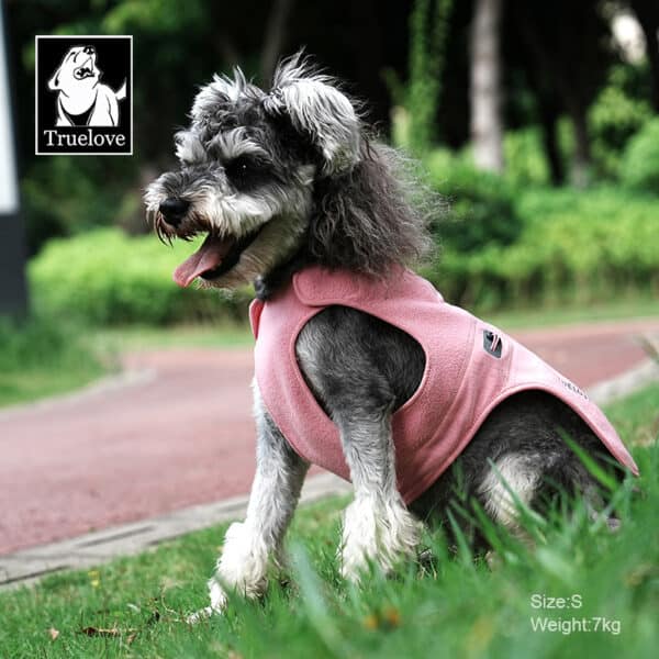 Small dog wearing Truelove TLG2522 sachet pink dog jacket made from anti-bacterial polar fleece, size S, sitting on grass near a walking path.
