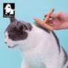 A person grooms a white and gray cat with the Truelove Bamboo Pet Comb - Grooming Tool against a light blue background. The Truelove logo, featuring a dog illustration, appears in the upper left corner.