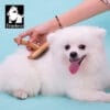 A person brushes a happy, fluffy white dog with the Truelove Bamboo Pet Comb – Grooming Tool. The dog's tongue is out and the Truelove logo appears in the top left corner against a light blue background.
