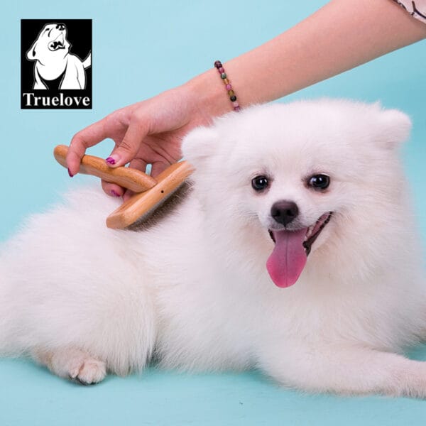 A person brushes a happy, fluffy white dog with the Truelove Bamboo Pet Comb – Grooming Tool. The dog's tongue is out and the Truelove logo appears in the top left corner against a light blue background.
