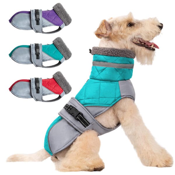 A dog models the Luxury Polyester Dog Coat - Designer Winter Pet Jacket in teal and gray with a faux fur collar. Three smaller images display the coat’s purple, teal, and red options on a white background.