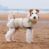 A small white and brown dog wearing the Luxury Waterproof Dog Jacket stands on a sandy beach with the ocean in the background.