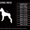 Sizing chart for the Outdoor Winter Dog Coat - Waterproof, Windproof & Reflective, with a silhouette showing how to measure from neck to tail base; sizes range from 25cm/9.8in to 70cm/27.6in. Instructions included.