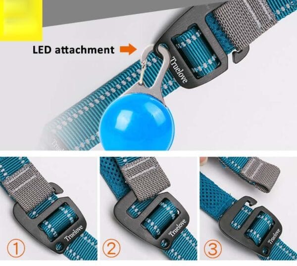 A blue and gray Truelove Adjustable Dog Leash (TLL2671) with a reflective nylon design and padded handle. Three close-up images below show how to secure the branded buckle in numbered steps.