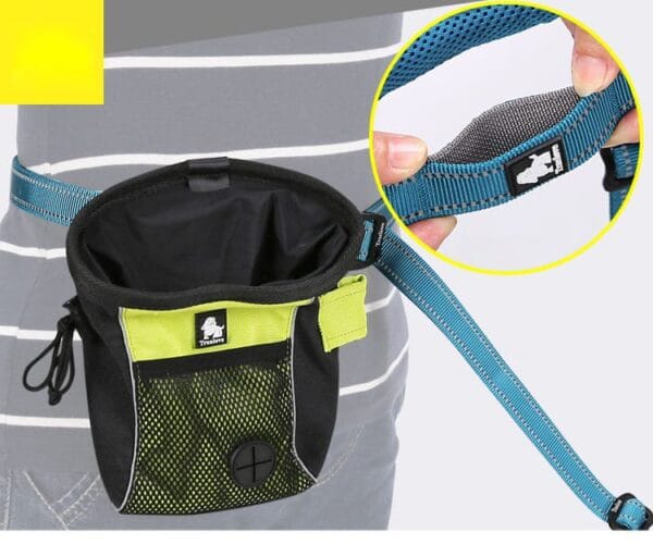 A person wearing the Truelove Adjustable Dog Leash (Reflective Nylon & Padded Handle, TLL2671) in black and green, attached to a blue adjustable belt. An inset shows a close-up of the belt and buckle being held.