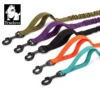 Five Truelove Durable Bungee Dog Leashes (model TLL2281) with black clips are displayed side by side in green, purple, black, orange, and teal. The Truelove logo with a dog appears in the top left corner.