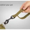 A hand holds the Truelove Durable Bungee Dog Leash - Shock Absorbing TLL2281 with a sturdy black metal clip, attached to a harness ring. Text on the image reads "Easy to control your pet.