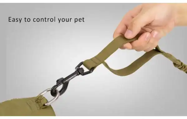A hand holds the Truelove Durable Bungee Dog Leash - Shock Absorbing TLL2281 with a sturdy black metal clip, attached to a harness ring. Text on the image reads "Easy to control your pet.