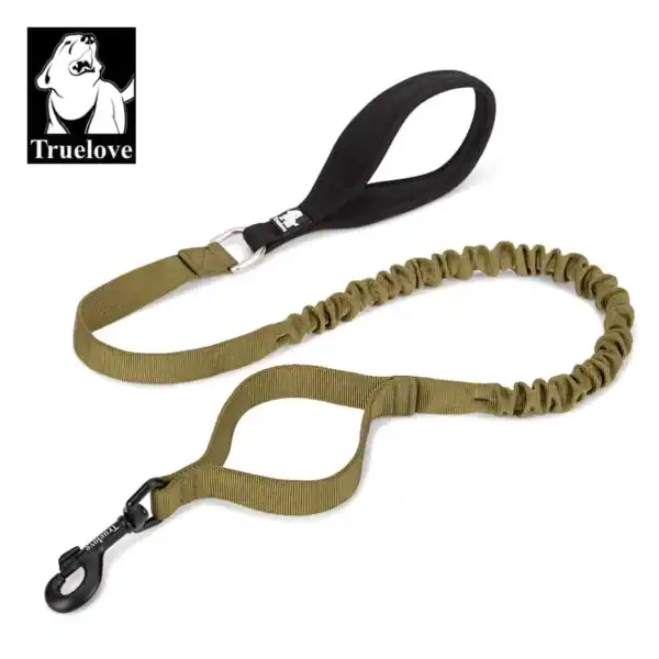 The Truelove Durable Bungee Dog Leash - Shock Absorbing TLL2281 is green with a padded black handle, elastic bungee section, and black metal clip. The Truelove logo featuring a dog graphic appears in the top left corner.