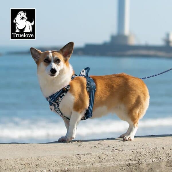 Truelove Easy On Off Dog Harness - Dual D-Rings TLH5656 6 A corgi in a blue Truelove Easy On/Off Dog Harness - Dual D-Rings TLH5656 stands on concrete by the ocean, with a blurry lighthouse in the background. The Truelove logo with a dog illustration appears in the top left corner.