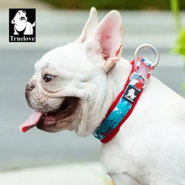 A white French Bulldog with its tongue out wears the Truelove Floral Camouflage Dog Collar TLC5273 in blue and red while standing outdoors. The Truelove logo appears in the top left corner of the image.