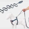 A person holds the Truelove Functional Dog Leash with Neoprene Handle TLL3112, attached to a matching harness on a white dog mannequin; a coiled leash is shown above for detail.