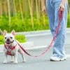 A white French Bulldog in a red Truelove Functional Dog Leash with Neoprene Handle TLL3112 stands on a paved path beside a person in blue jeans and white shoes, with greenery in the background.
