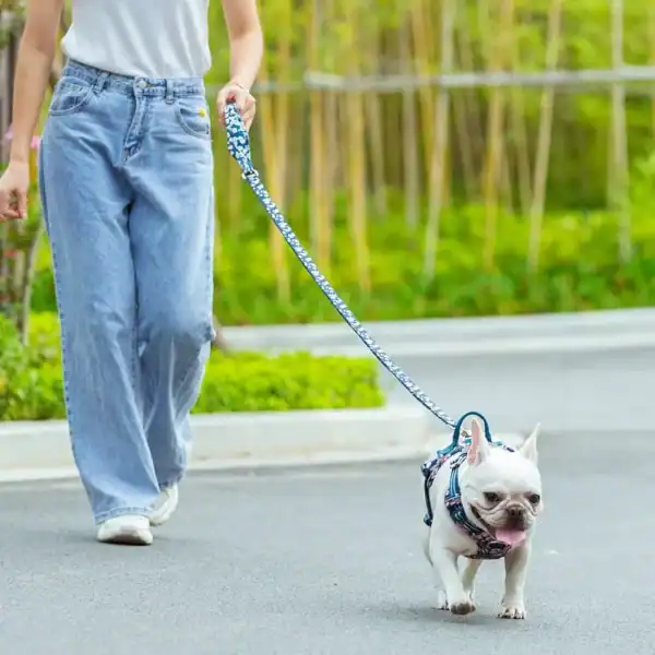 A person in loose blue jeans and white sneakers walks a small white French Bulldog on the Truelove Functional Dog Leash with Neoprene Handle TLL3112 along a paved path with green plants and trees in the background.