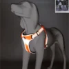 A gray dog mannequin wears a Truelove Reflective Chest Harness - 3M Snap Buckle TLH5991 in orange and white. An inset shows a close-up of the reflective material. The bottom text reads "Detail display" and "TrueLove.