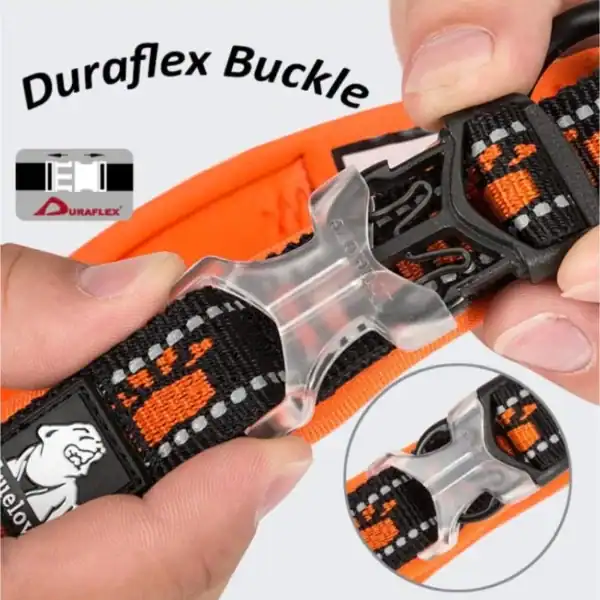 Truelove Reflective Padded Pet Collar - Neoprene Comfort TLC50121 3 Close-up of hands fastening the Truelove Reflective Padded Pet Collar - Neoprene Comfort TLC50121 in black and orange, featuring a clear Duraflex buckle. Inset highlights the buckle with "Duraflex Buckle" text and Duraflex logo.
