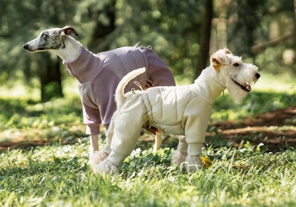 Two dogs stand on grass in a sunlit park, both wearing the Waterproof Windproof Dog Jacket—one is a slender greyhound in lavender, the other a terrier in cream. Trees and greenery create a lush background.
