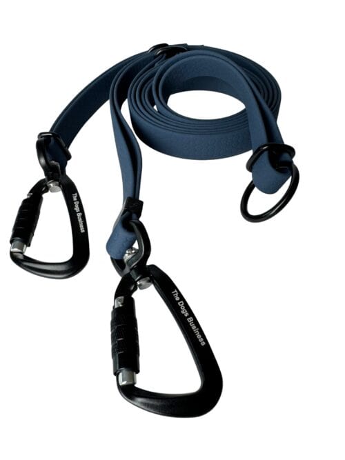 A coiled blue dog lead with two black metal carabiner clips and a black metal ring, displayed on a white background.