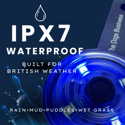 A close-up of The Dogs Business Safety Light in blue with water splashes. Text: "IPX7 Waterproof. Built for British weather—rain, mud, puddles, wet grass." A tag reading "The Dogs Business" is partly shown.