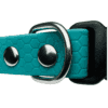Close-up of the Wave Marine Dog Collar, featuring a teal colour with a hexagonal pattern, silver metal studs, a metal D-ring, and a black plastic buckle visible on the right side.