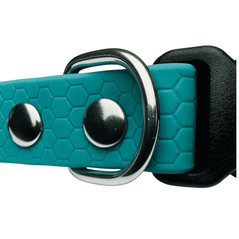 Close-up of the Wave Marine Dog Collar, featuring a teal colour with a hexagonal pattern, silver metal studs, a metal D-ring, and a black plastic buckle visible on the right side.