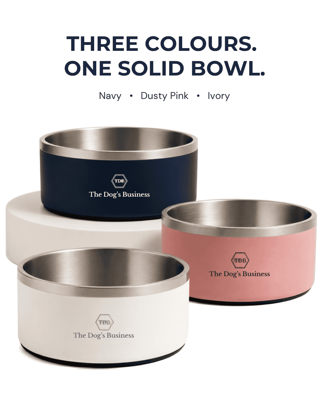 ANCHOR - Double Wall Stainless Steel Dog Bowl - Image 4