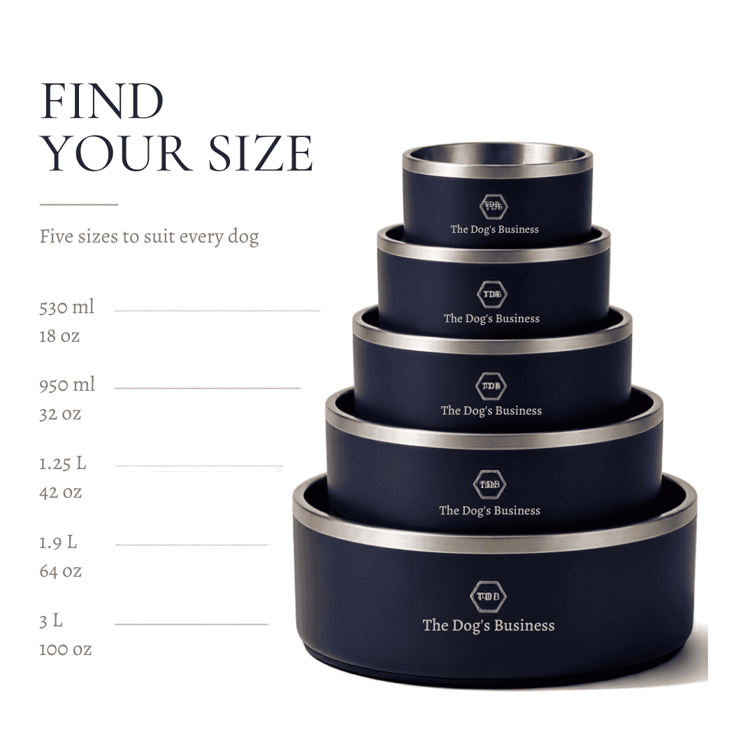 ANCHOR - Double Wall Stainless Steel Dog Bowl - Image 3