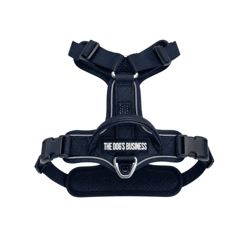 OBRIY Anatomical Harness in navy blue features adjustable straps, a padded handle, buckle fastenings, a front metal ring, and a patch reading “THE DOG’S BUSINESS.” The harness is shown against a white background.