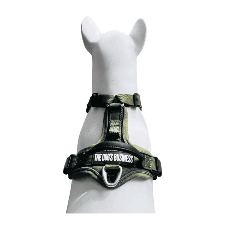 A white dog wearing a green harness with a label that reads “THE DOG’S BUSINESS” in bold white letters, viewed from behind on a plain white background.
