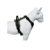 A green dog harness is shown on a white dog mannequin, highlighting its fit and design features, including adjustable straps and sturdy buckles.