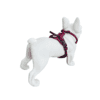 A white French Bulldog, facing away and looking to the right against a plain white background, wears the OBRIY Anatomical Harness in red.
