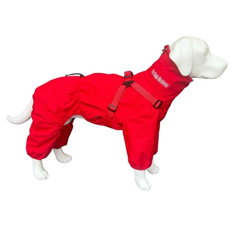 A white dog mannequin wears The Dog’s Business 4 Paws Waterproof Suit—a bright red, full-body raincoat with a high neck and harness—designed to protect dogs from rain.