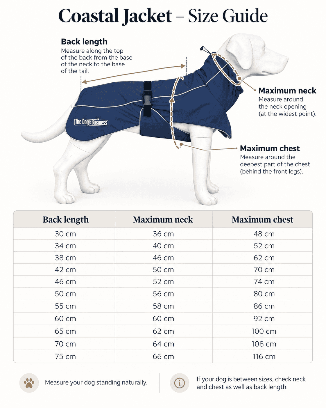 Size guide diagram for the Coastal Winter Jacket showing how to measure back length, neck, and chest, including a reference table of corresponding measurements in centimetres.