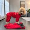 A poodle wearing The Dog’s Business 4 Paws Waterproof Suit in red stands indoors on a grey floor, with another red suit lying in front of it. Modern decor and plants are visible in the background.