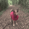 Coastal Jacket - Thumbnail Image 8