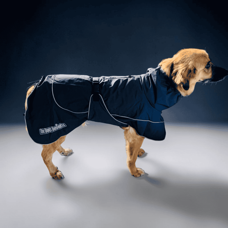 Coastal Jacket Light - Image 2