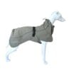 Heat Reflect Jacket in grey with a black buckle and reflective trim on a white mannequin dog.