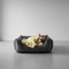 A French bulldog resting in a grey bolstered pet bed under a light yellow velour snuggle blanket.